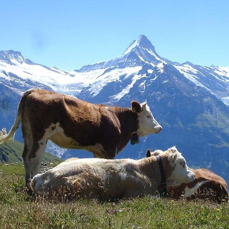 Beim See Grindelwald Ngoại thất bức ảnh