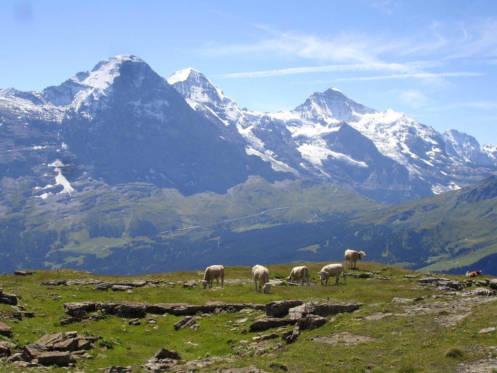 Beim See Grindelwald Ngoại thất bức ảnh