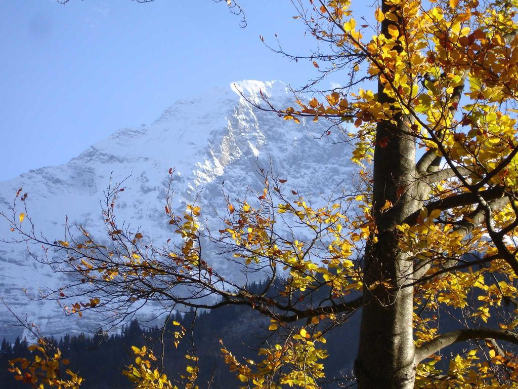 Beim See Grindelwald Ngoại thất bức ảnh