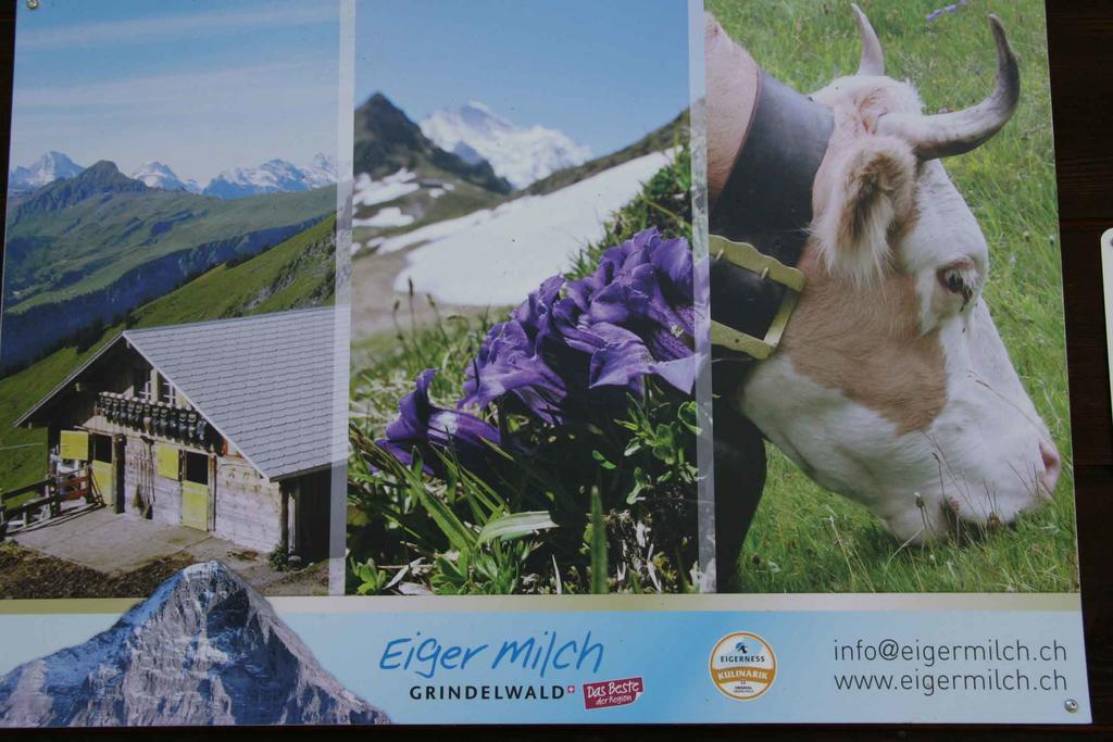 Beim See Grindelwald Ngoại thất bức ảnh